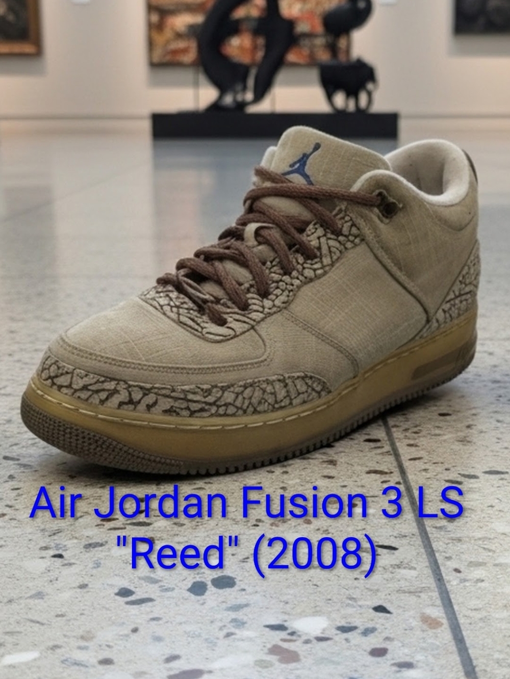 Air Jordan Retro 3 Fusion LS (AJF 3) "Reed" (2008) Mens 12 EUC